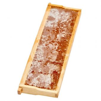 Honey House Honey Comb with Frame (18